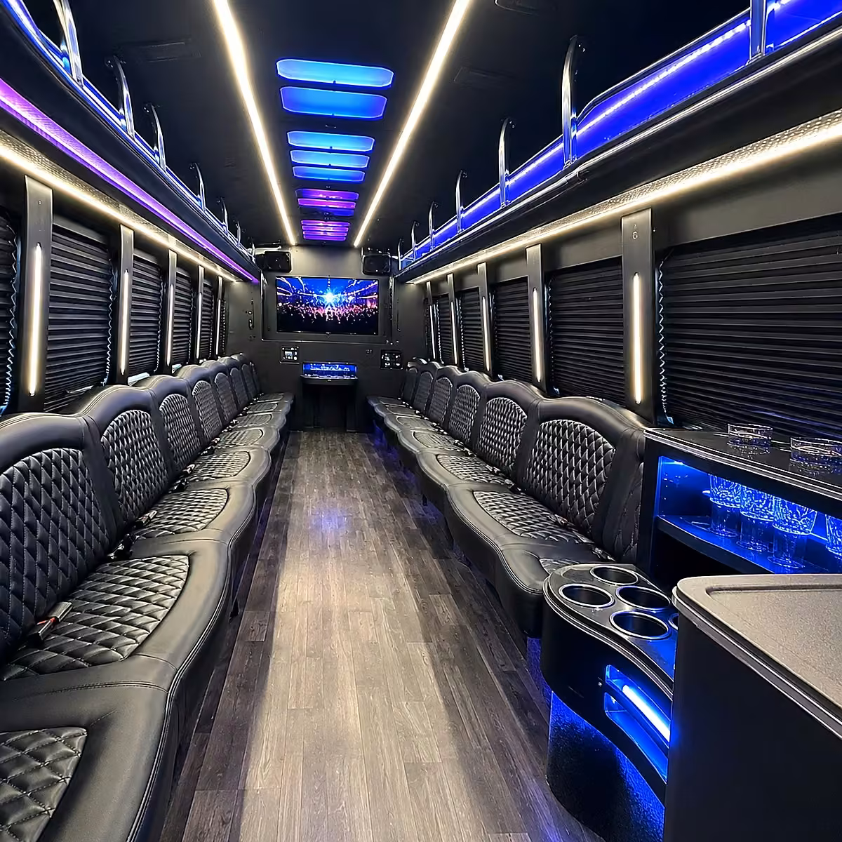28 passenger party bus interior